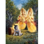 Krishna and Arjuna trees